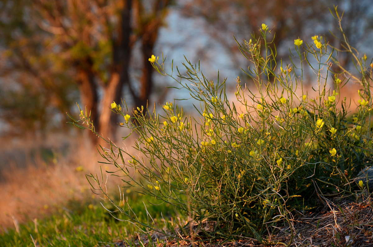 �������� ����� ����  �� PhotoGeek.ru #������ ��� ������� #����� �������������� #���������