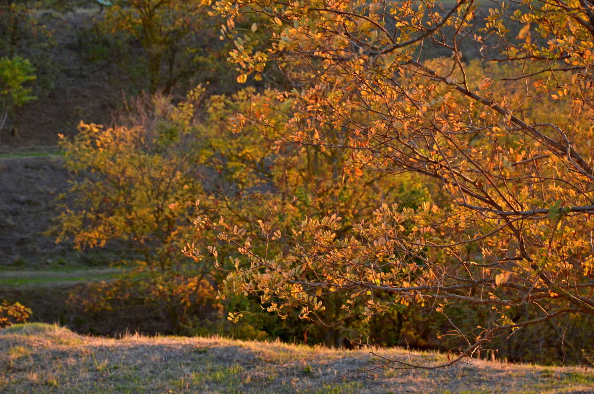 � �������� ����� ����  �� PhotoGeek.ru #������ ��� ������� #����� �������������� #���������