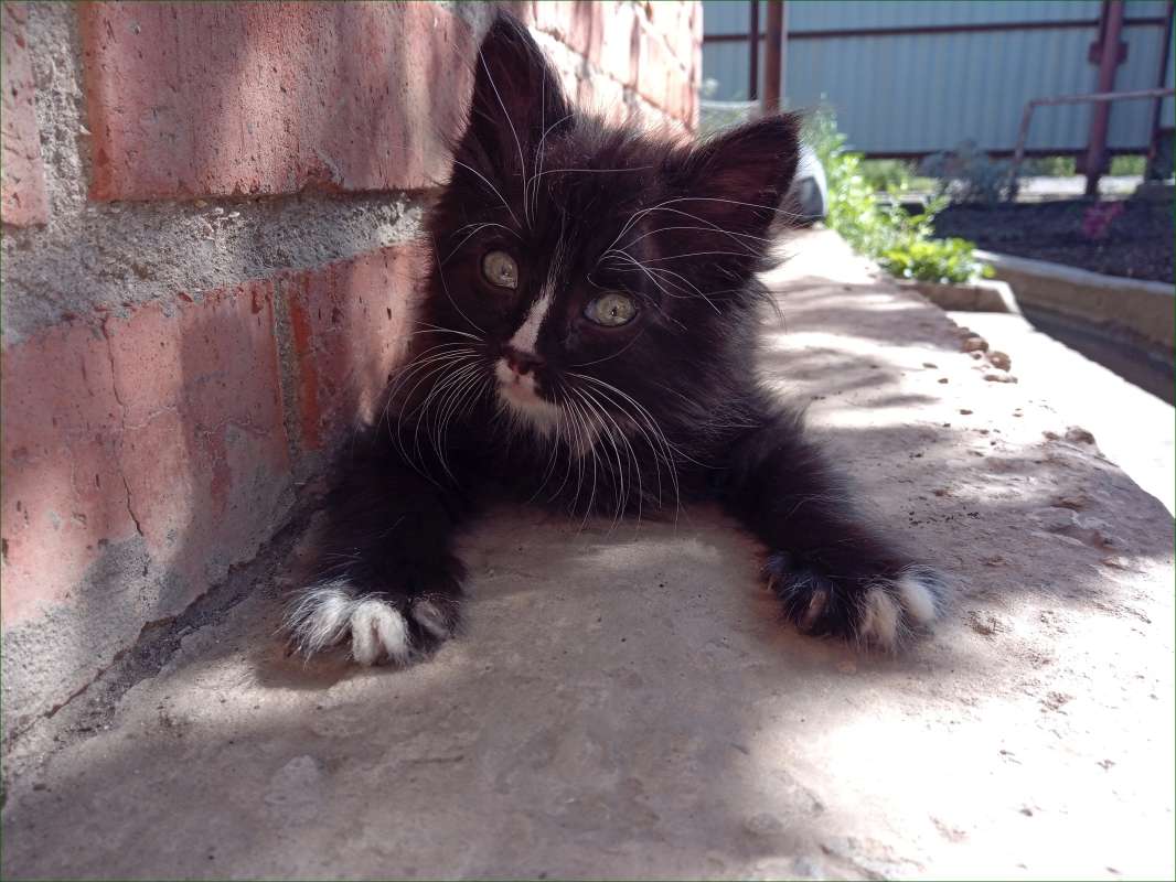 ���������� ����� ����  �� PhotoGeek.ru #�������� ��� #�������� ���