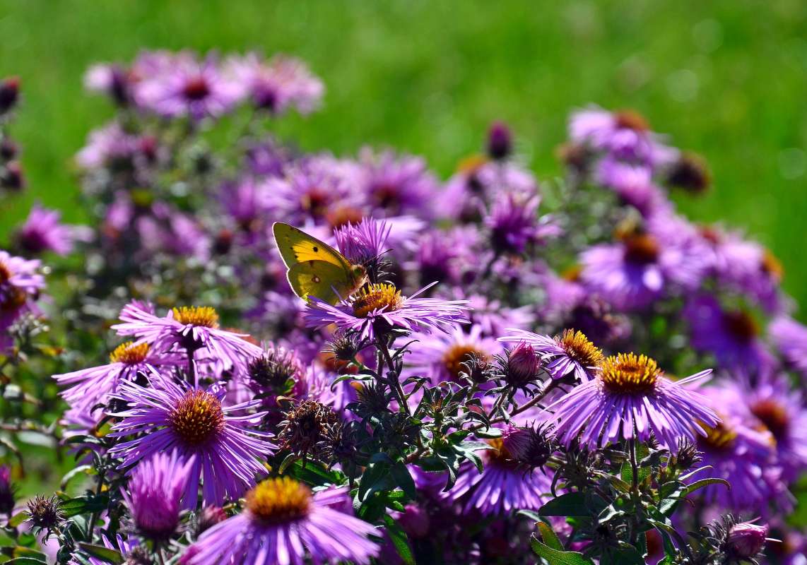 *** ����� ����  �� PhotoGeek.ru #����� #������ ��� ������� #����� �������������� #��������� #���������