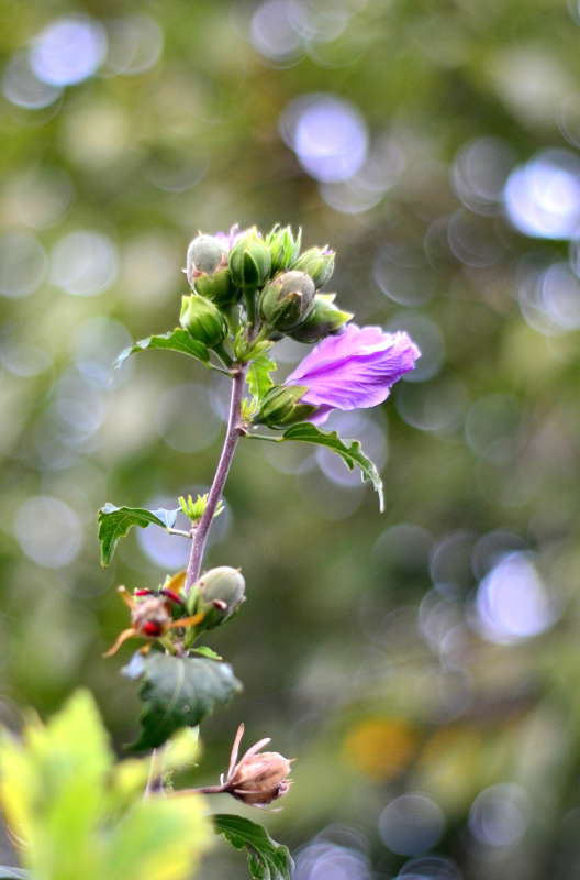 *** ����� ����  �� PhotoGeek.ru #������ ��� ������� #����� �������������� #���������