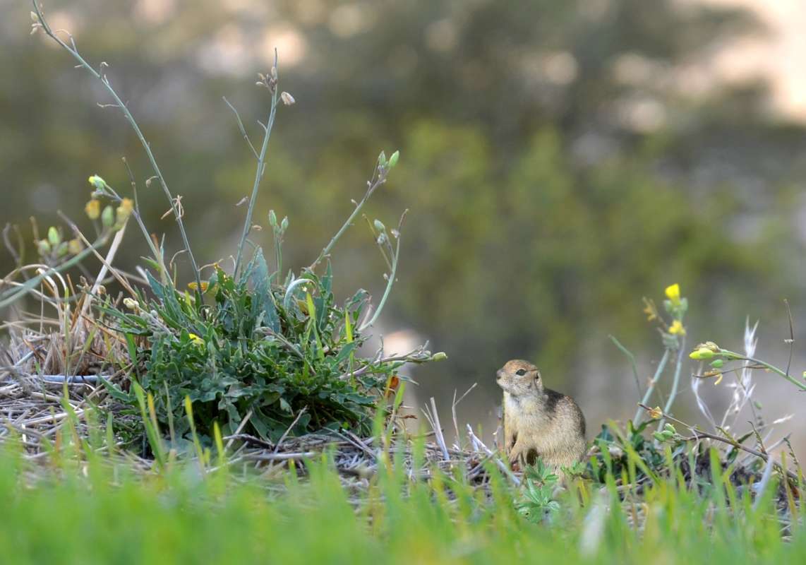 ��������� ������ ������� ����� ����� ����  �� PhotoGeek.ru #�������� ��� #����� ��� ��� ���������