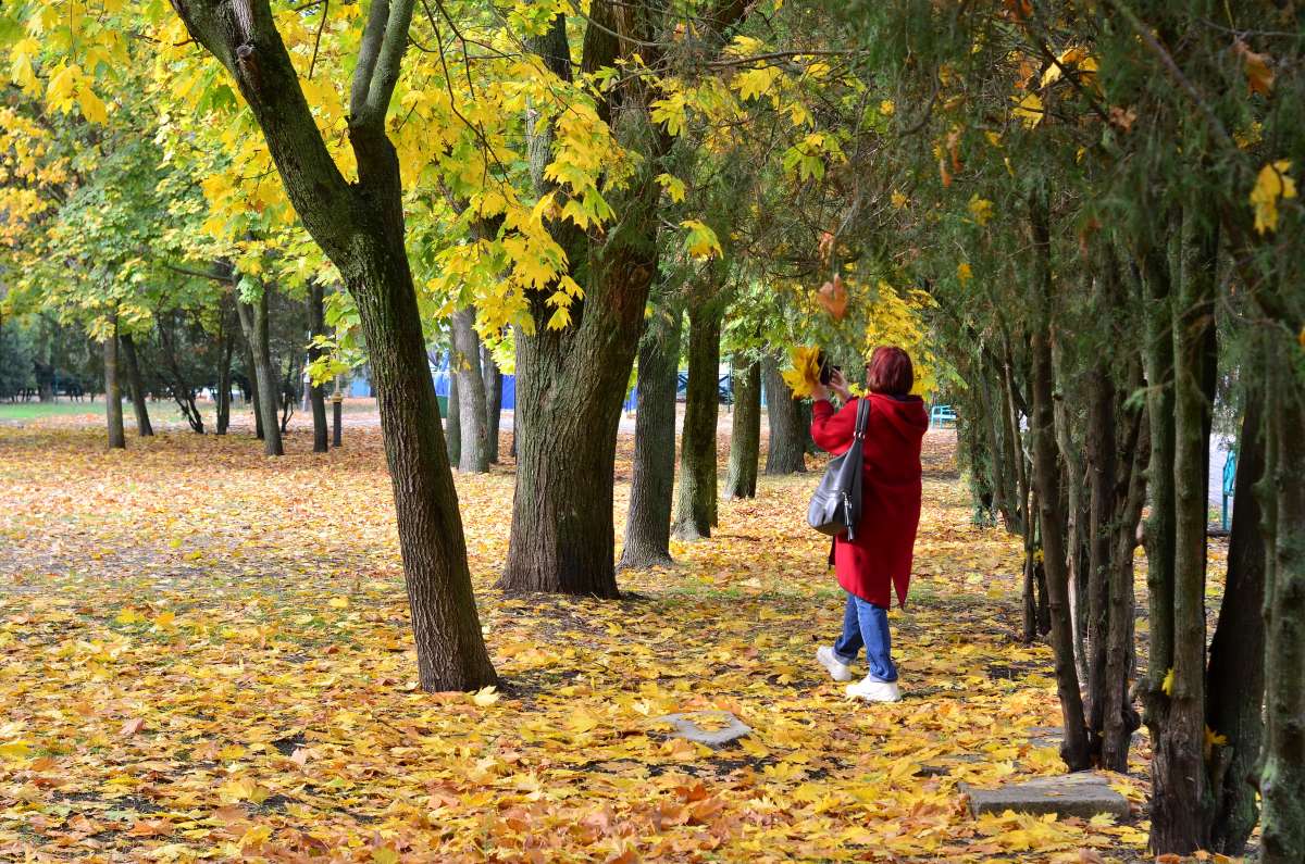 *** ����� ����  �� PhotoGeek.ru #����� #������ ��� �������