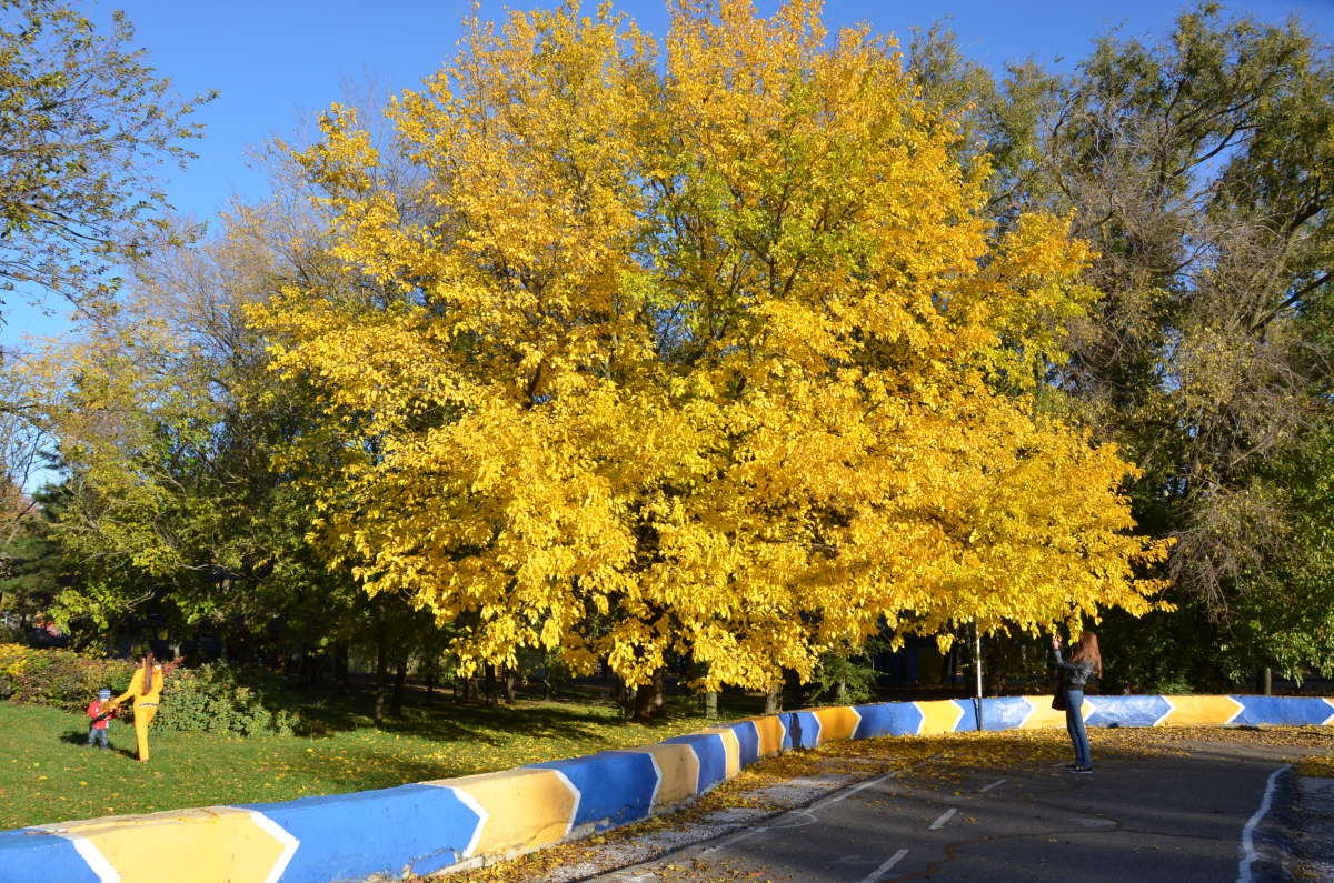 ������� ����� ����� ����  �� PhotoGeek.ru #������ ��� ������� #����� �������������� #���������