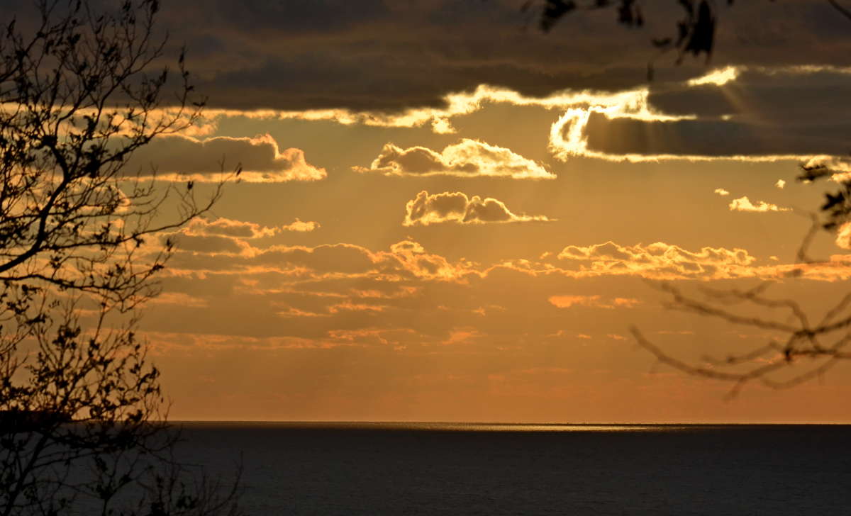 ����� � ���� ����� ����  �� PhotoGeek.ru #�������� #Fine Art