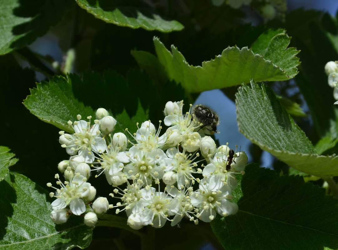 *** ����� ����  �� PhotoGeek.ru #����� #���������