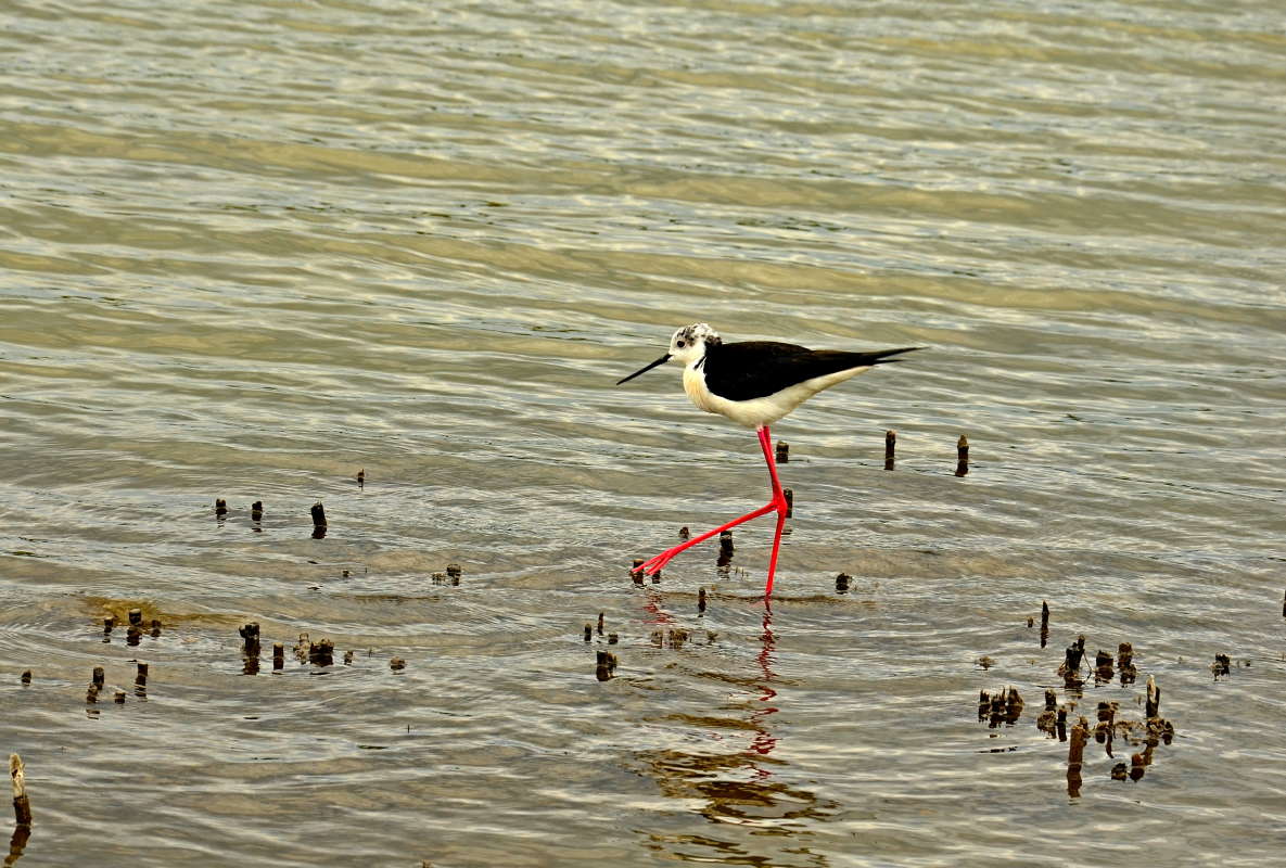 ���������� ����� ����  �� PhotoGeek.ru #�������� ��� #����� ��� ��� ���������