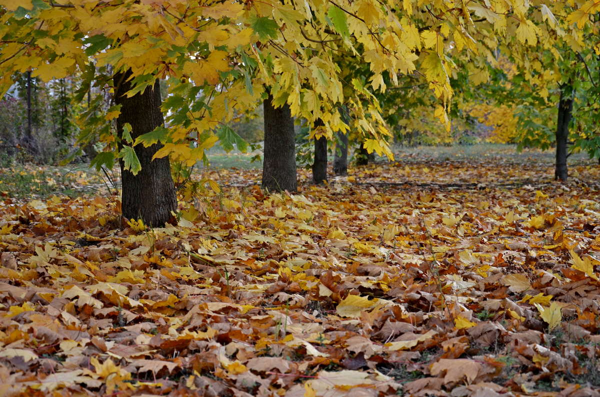 ���� �� ������� ���� ����� ����  �� PhotoGeek.ru #������ ��� ������� #����� �������������� #���������