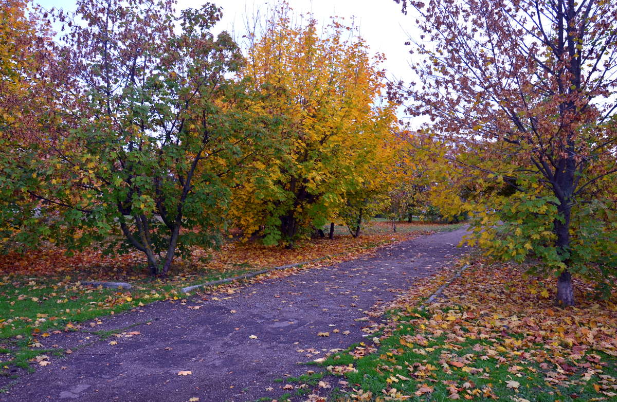 ������� ������� ����� ����  �� PhotoGeek.ru #������ ��� ������� #����� �������������� #���������