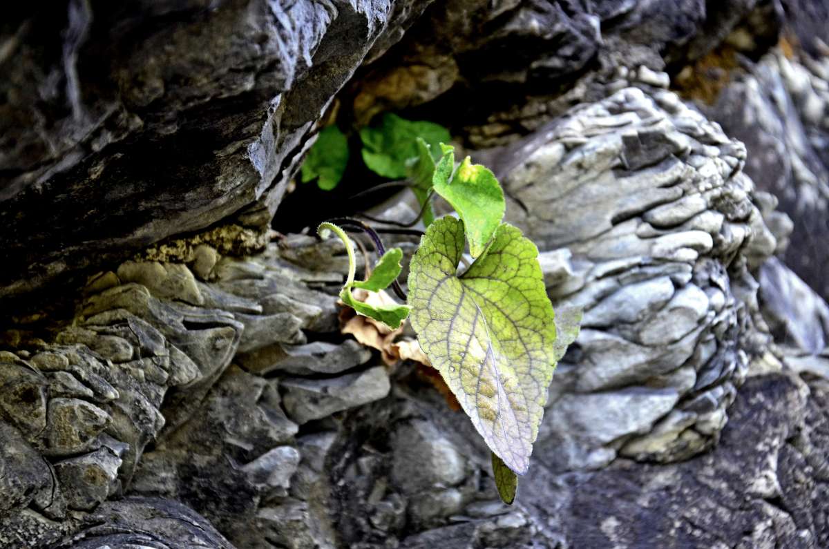 ����� ����� ���� ����� ����  �� PhotoGeek.ru #������ ��� ������� #����� �������������� #���������