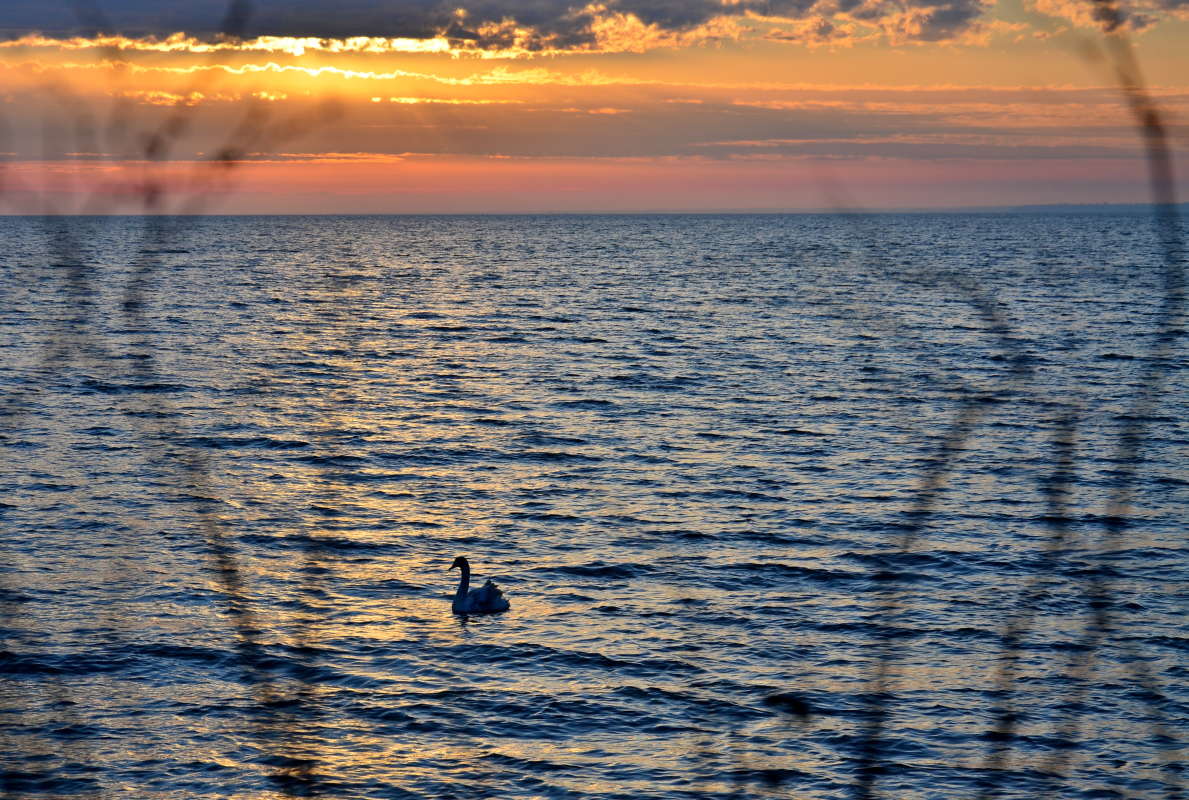 �������� �������� ����� ����  �� PhotoGeek.ru #�������� ��� #����� ��� ��� ���������