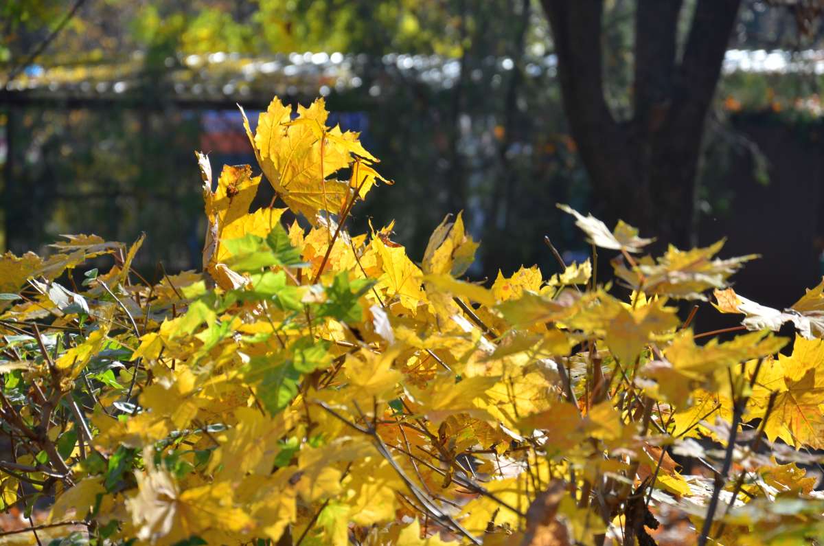 *** ����� ����  �� PhotoGeek.ru #������ ��� ������� #����� �������������� #���������