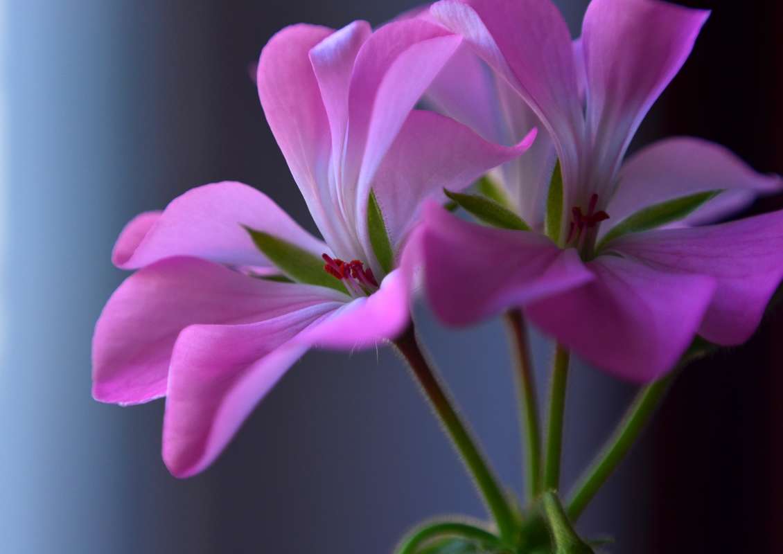 *** ����� ����  �� PhotoGeek.ru #����� #������ ��� ������� #����� ��������������