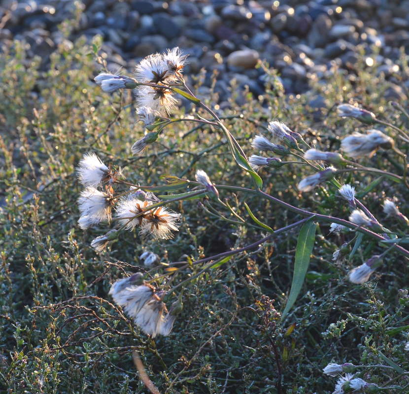 *** ����� ����  �� PhotoGeek.ru #������ ��� ������� #����� �������������� #���������