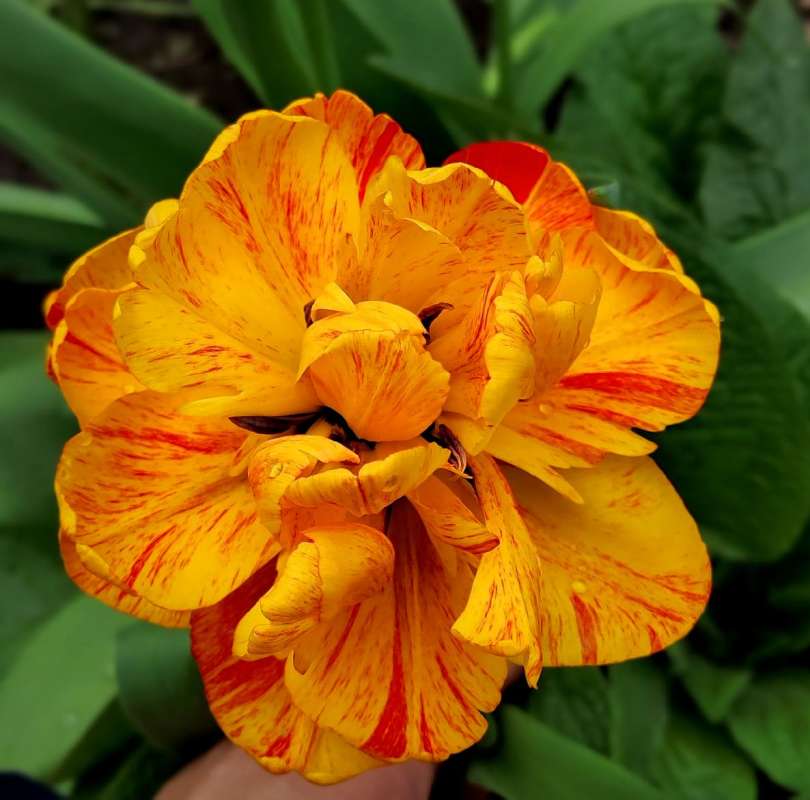 �������� ������� ����� ������  �� PhotoGeek.ru #����� #����� ��������������