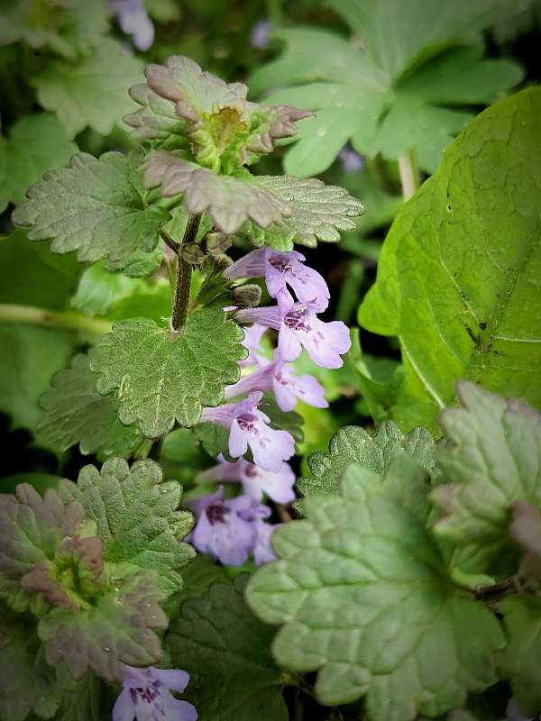 �������� ����� ������  �� PhotoGeek.ru #����� #����� ��������������