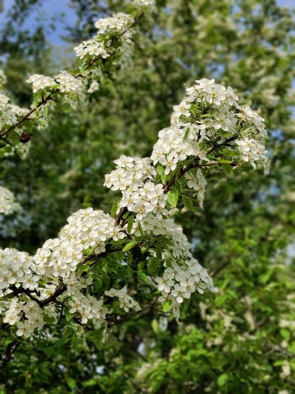 ������ ����� ����� ����� ������  �� PhotoGeek.ru #����� ��������������