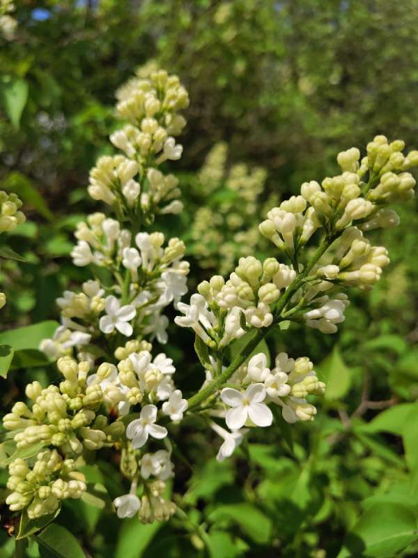 ��������� ������ ����� ������  �� PhotoGeek.ru #����� #����� ��������������