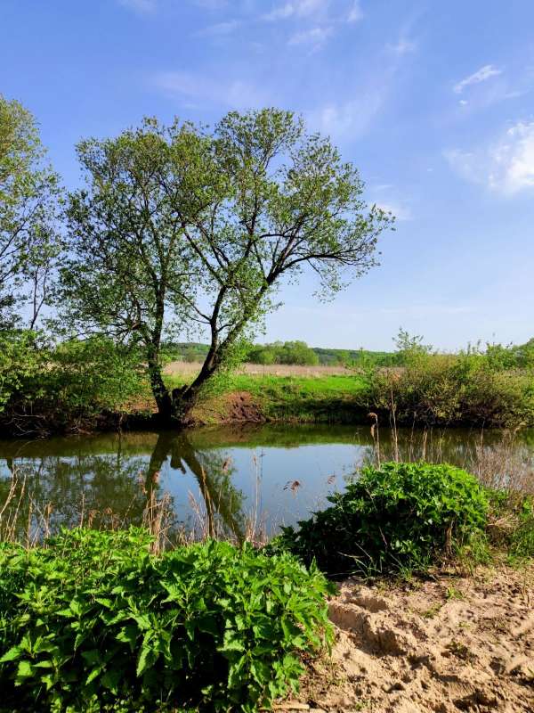 ��� � ���� ����� ������  �� PhotoGeek.ru #������ ��� �������