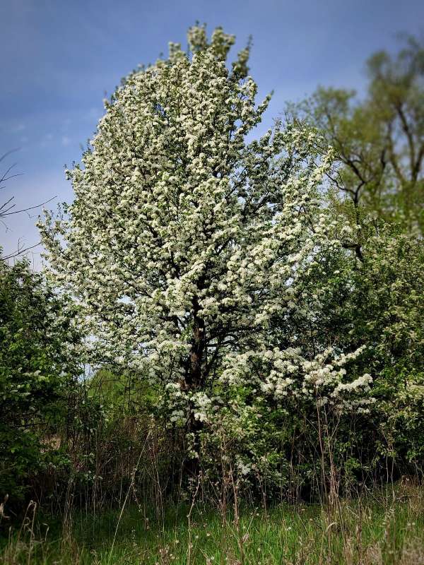 ����� � ������ ����� ����� ������  �� PhotoGeek.ru #������ ��� �������