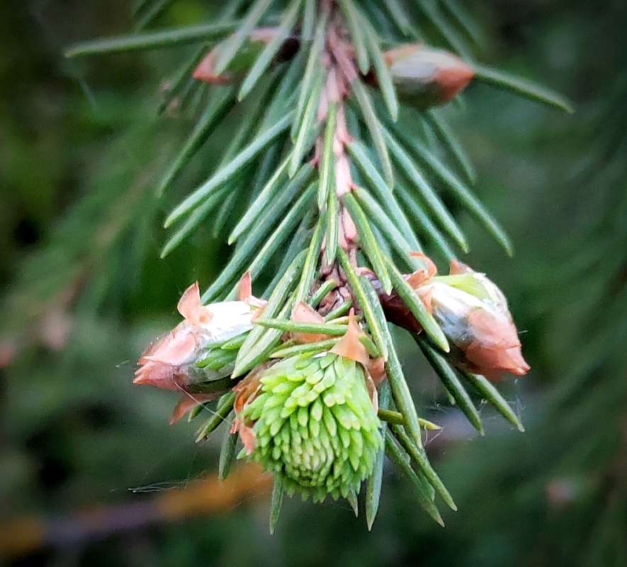 ������ ������ ����� ������  �� PhotoGeek.ru #����� #����� ��������������