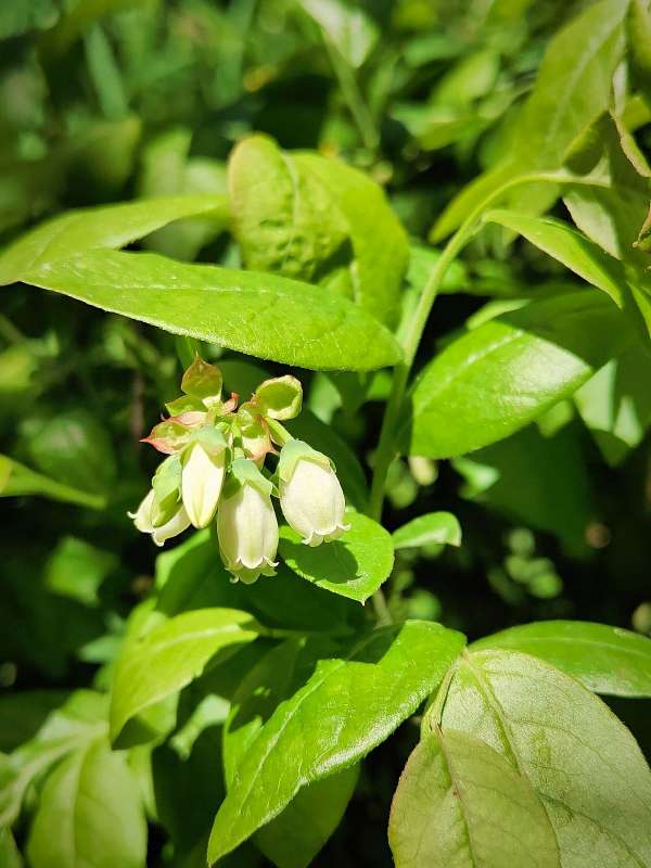 ��������� ���� ����� ������  �� PhotoGeek.ru #����� #����� ��������������