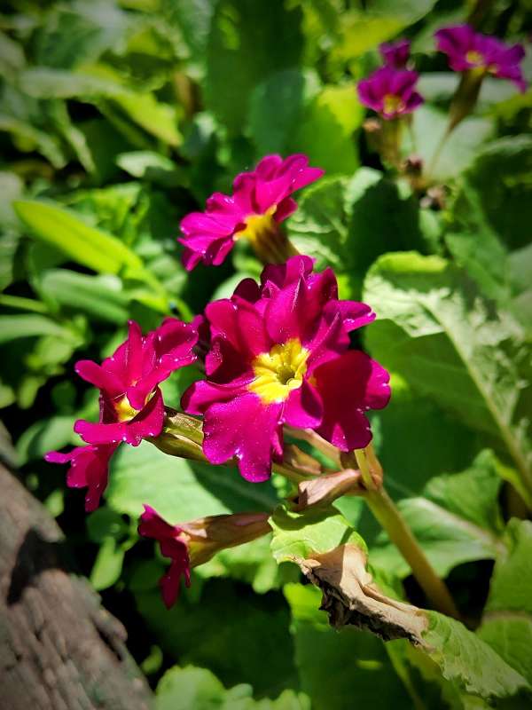 ������� ����� ������  �� PhotoGeek.ru #����� #����� ��������������