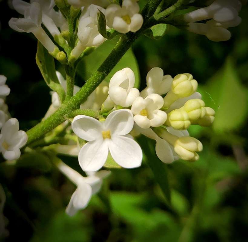 ����� ������ ����� ������  �� PhotoGeek.ru #����� #����� ��������������