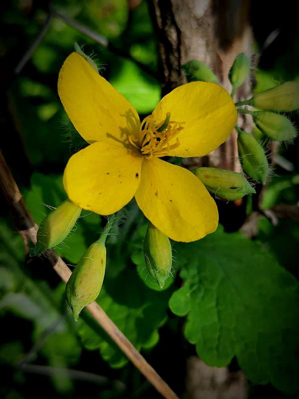 �������� ����� ������  �� PhotoGeek.ru #�����