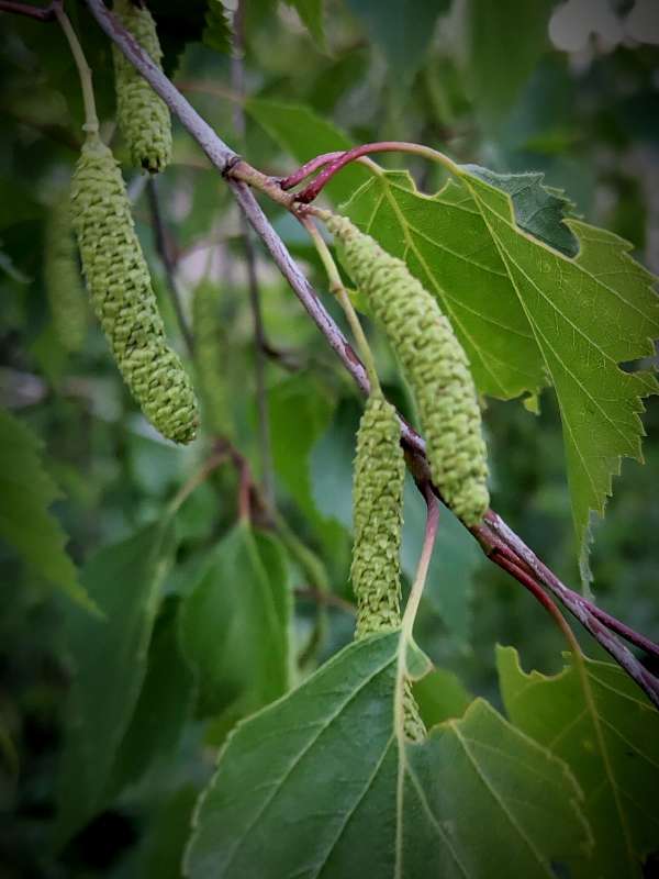 ������� ����� ������  �� PhotoGeek.ru #�����