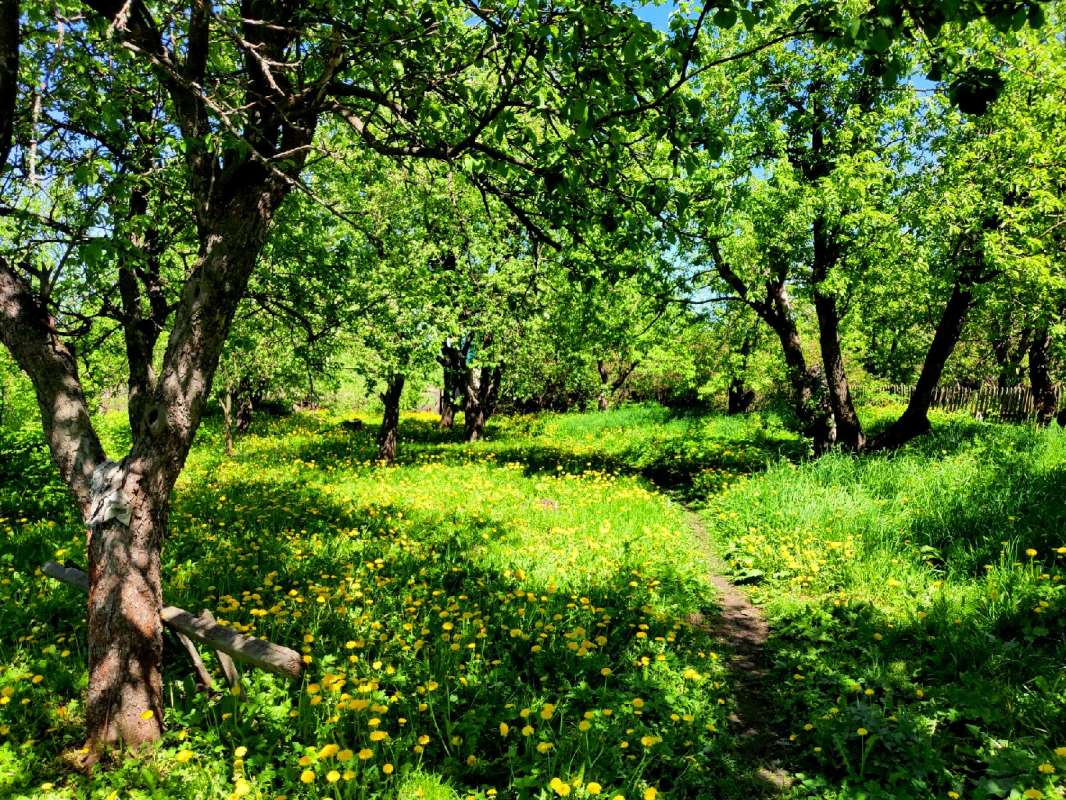 � ���� ������� ���� ����� ������  �� PhotoGeek.ru #������ ��� �������