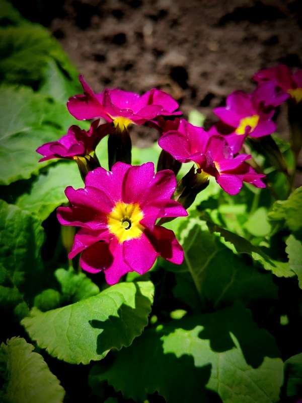 ������� ����� ������  �� PhotoGeek.ru #�����