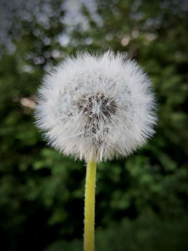 �������� ��� ����� ������  �� PhotoGeek.ru #�����