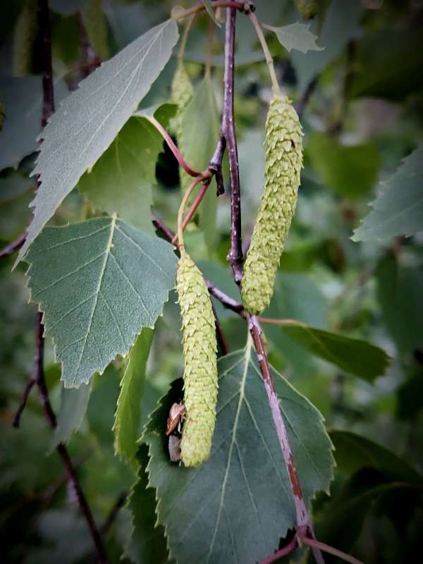 ��������� ������� ����� ������  �� PhotoGeek.ru #�����