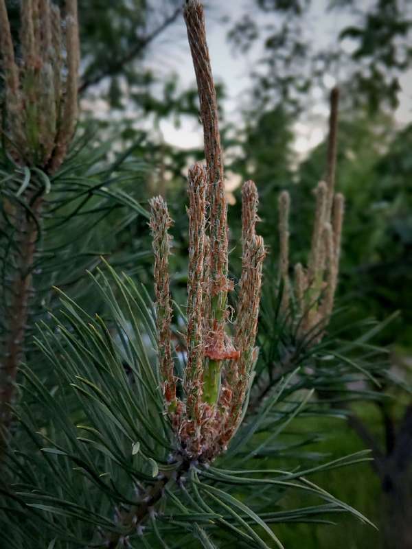 ������� ����� ����� ������  �� PhotoGeek.ru #������ ��� �������