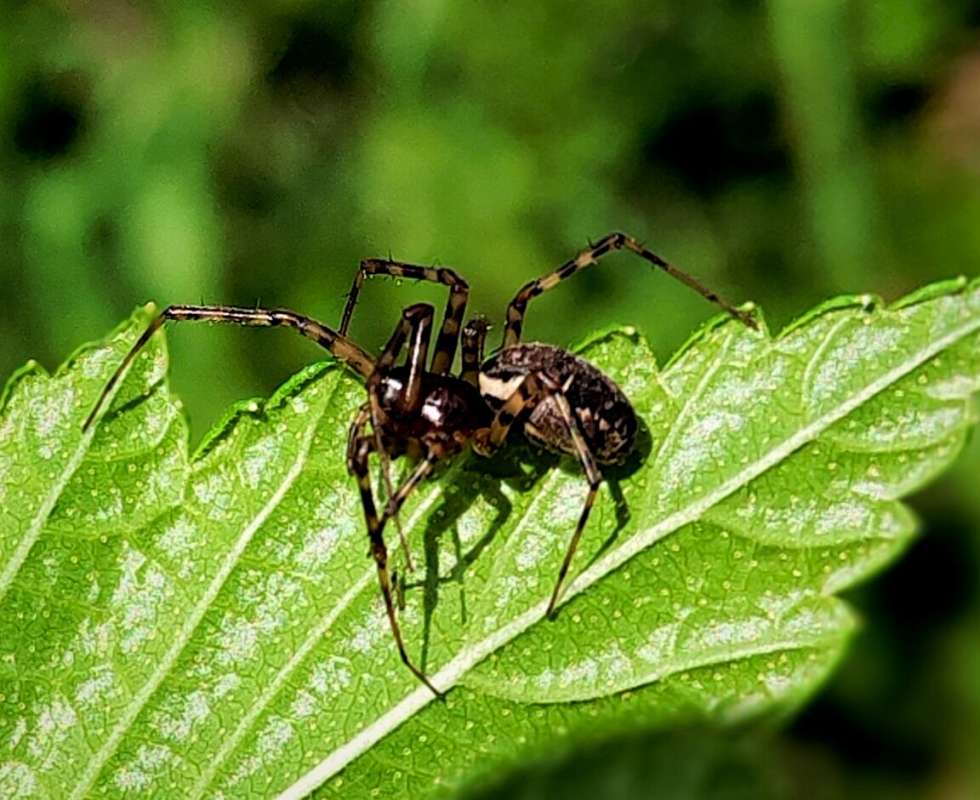 ������ ����� ������  �� PhotoGeek.ru #�����