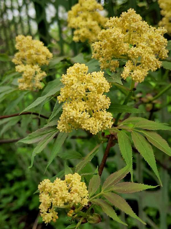 ���� ������ ����� ������  �� PhotoGeek.ru #����� #����� ��������������