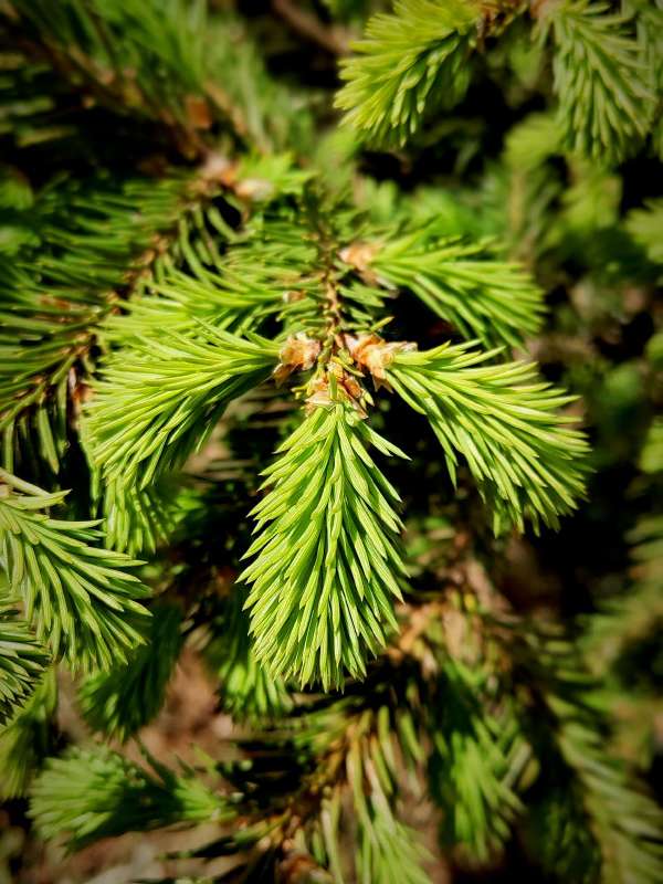 ������� ��� ����� ������  �� PhotoGeek.ru #�����