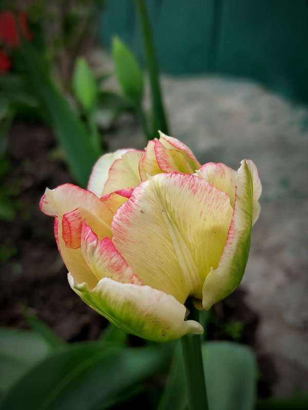 ����� ������ �������� ����� ������  �� PhotoGeek.ru #����� #����� ��������������