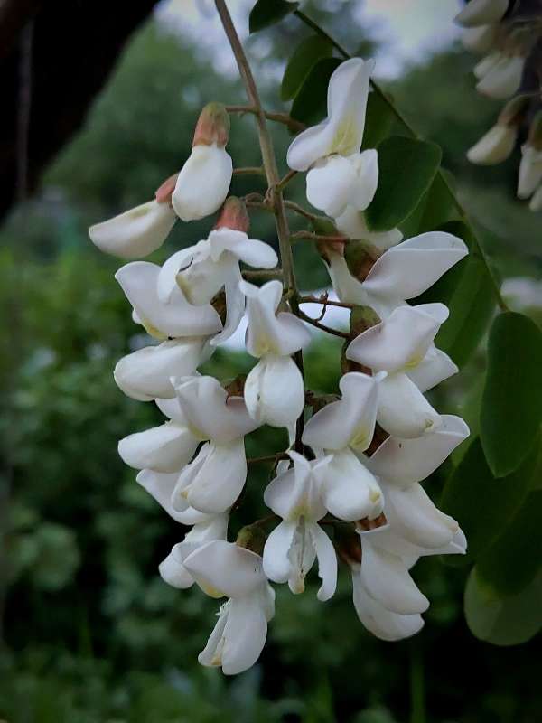 ����� ������ ������� ��������... ����� ������  �� PhotoGeek.ru #����� #����� ��������������