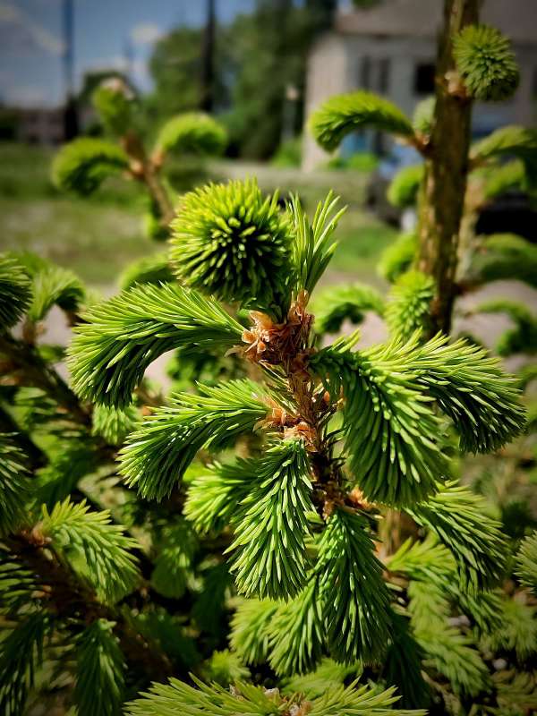 ������ ���� ����� ������  �� PhotoGeek.ru #����� #����� ��������������