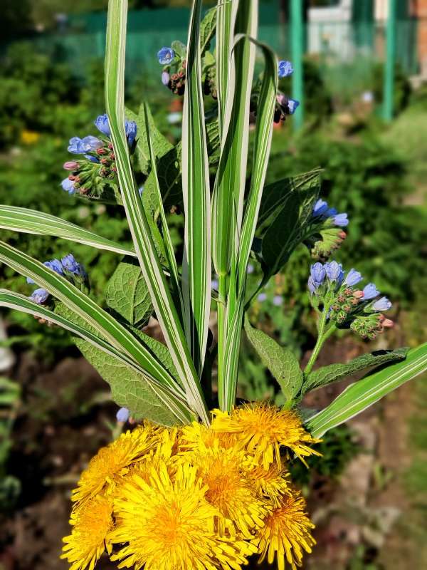 ������� ����� ������  �� PhotoGeek.ru #����� #����� ��������������