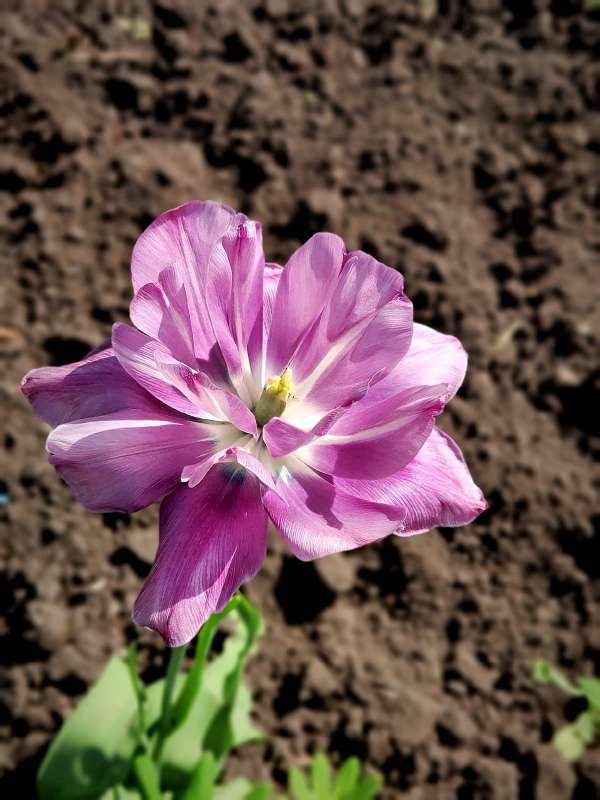 ����� ������ �������� ����� ������  �� PhotoGeek.ru #����� #����� ��������������