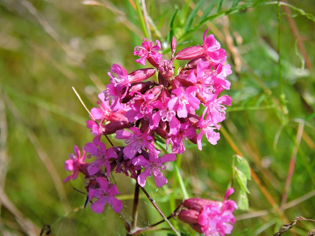 ������ ����� ������  �� PhotoGeek.ru #����� #����� ��������������