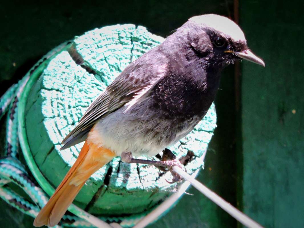 ��������� ���� ����� ������  �� PhotoGeek.ru #�������� ��� #����� ��� ��� ���������