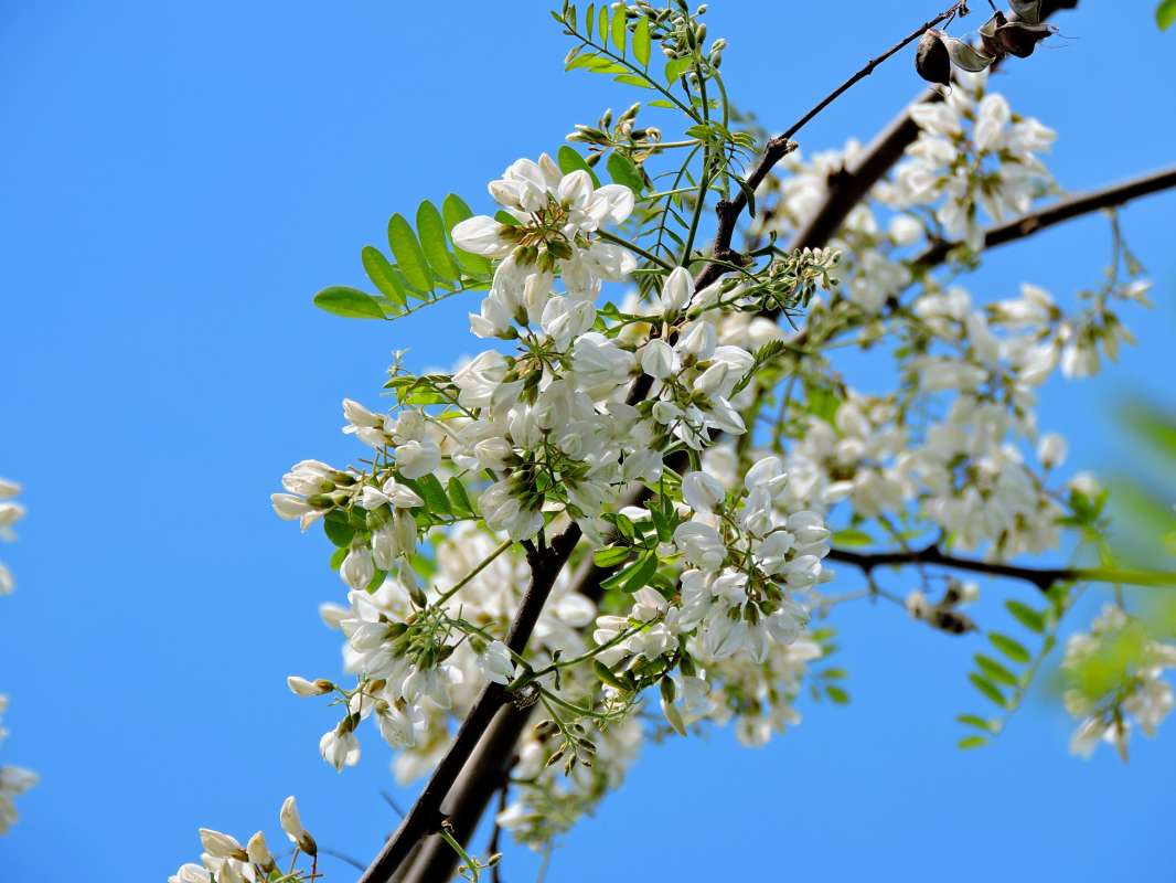 ��� ����� ������� ����� ������  �� PhotoGeek.ru #������ ��� �������