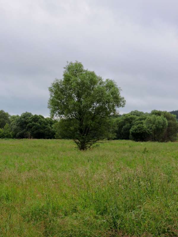 �������� ������ ����� ������  �� PhotoGeek.ru #������ ��� �������