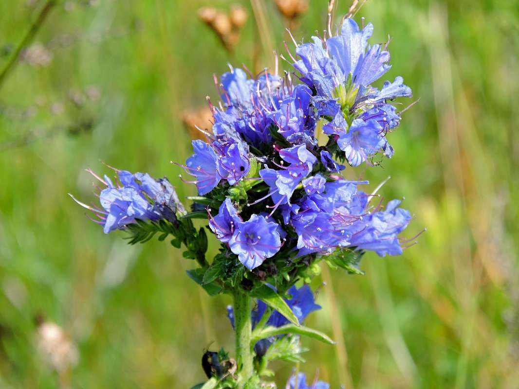 ����� ����� ������  �� PhotoGeek.ru #����� #����� ��������������