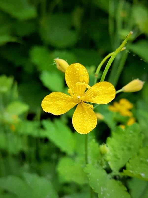 �������� ����� ������  �� PhotoGeek.ru #����� #����� ��������������