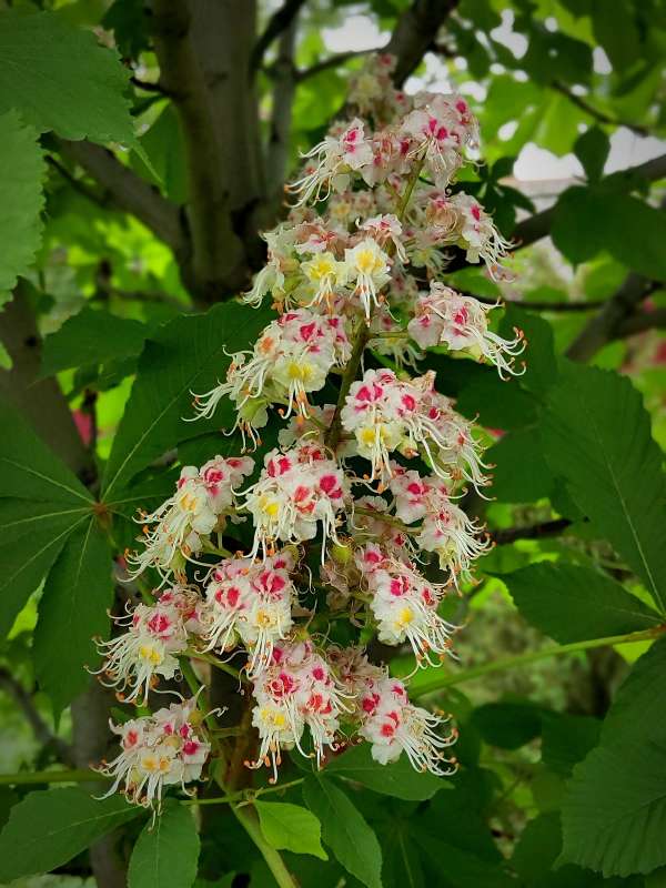 ������ ������ ����� ������  �� PhotoGeek.ru #����� #����� ��������������